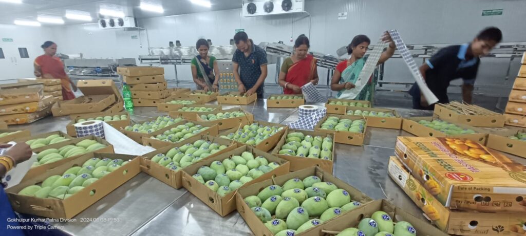 7ecdba98-6fb5-4c80-9dd5-a9e097ca4b9d