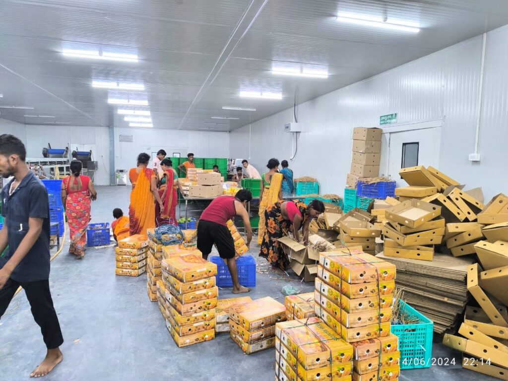 c28fb58c-df95-4db0-b8c9-a3a8347b1466